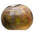 Rutabaga