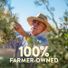 Pompeian Smooth Extra Virgin Olive Oil