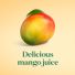 Simply Mango Juice Drink