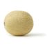 Cantaloupe