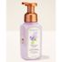Bath & Body Works Fresh Cut Lilacs Gentle & Clean Foaming Hand Soap
