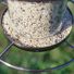 Red River Commodities Hello Birds Bird Seed