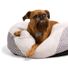 EveryYay Essentials Oval Cuddler Pet Bed, Small - Grey Diamond