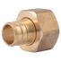 SharkBite Stainless Steel 3/4" PEX Crimp x 3/4" NPSM Brass Female Swivel Adapter