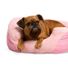 EveryYay Essentials Oval Cuddler Pet Bed, Small