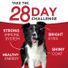 Purina ONE Natural Pate Wet Dog Food Variety Pack, SmartBlend Chicken Entree & Beef Entree