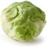 Iceberg Lettuce