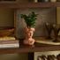 LiveTrends Summer Collection Ceramic Pot - Florentine - Greenhouse Picks