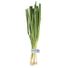 Green Onions (Scallions) Bunch