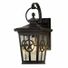 Allen + Roth Tx Medium Base Outdoor Wall Lantern