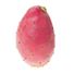 Cactus Pear