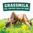 Organic Valley® Grassmilk Raw Organic Sharp Cheddar Cheese Block