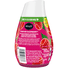 Renuzit Gel Air Freshener Forever Raspberry