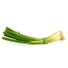 Green Onions (Scallions) Bag