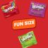 Skittles Original Wild Berry & Sour Fun Size Chewy Candy Variety Party Size Bulk