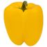Yellow Bell Pepper