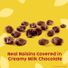 Raisinets Milk Chocolate Covered Raisins Gluten-free California Movie Theater Candy Box