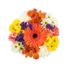 Bloom Haus Harmony Bouquet