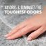 Arm & Hammer Carpet Odor Eliminator