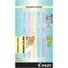 Pilot Light FriXion Assorted Pastel Erasable Highlighters