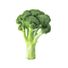 Organic Broccoli