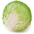 Savoy Cabbage