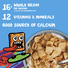 General Mills Cinnamon Toast Crunch Family Size Cereal