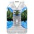 ICE MOUNTAIN Natural Spring Water