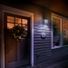 Feit Electric A19 LED Filament Black Lightbulb