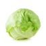 Iceberg Lettuce Bag
