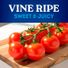 Red On the Vine Tomato