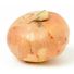 Vidalia Onion