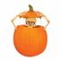 Fun World Pumpkin Peeper Light-Up Kit