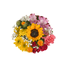 Bloom Haus Minuet Stems Bouquet