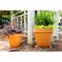 Buzzy 10.83" x 12.402" x 11.5" Terracotta Clay Outdoor Pot