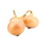 Sweet Onion