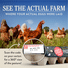 Vital Farms 18 ct Pasture-Raised Large Grade A Brown Eggs
