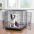 Top Paw Double Door Folding Wire Dog Crate With Divider Panel