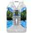 ICE MOUNTAIN Natural Spring Water