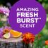 Arm & Hammer Plus Oxiclean Odor Blasters Fresh Burst