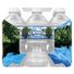 ICE MOUNTAIN Spring Water, 12-ounce plastic bottles (Pack of 12)