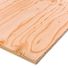 Lowe's Pine Sanded Plywood - 23/32'' x 2' x 2'