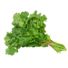 Organic Italian Parsley