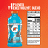 Gatorade Frost Thirst Quencher Glacier Freeze Sports Drink Bottle