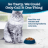 BLUE Wilderness Food for Cats, Natural, Indoor Hairball & Weight Control, Adult, Chicken & Brown Rice Recipe