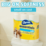 Charmin Essentials Soft Toilet Paper Mega Rolls