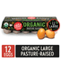 Vital Farms Organic Pasture Raised Large Grade A Brown Eggs