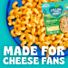 Follow Your Heart Dairy Free Cheese, Shredded Mozzarella Style, Non-GMO, Gluten Free, Lactose Free, A Vegan, Plant Based Cheese, Great on Sandwiches or Beautifully Melty for Nachos, 7 OZ Pack