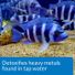 API Tap Water Conditioner Aquarium Dechlorinator