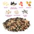 Audubon Park Nut & Fruit Blend Wild Bird Food